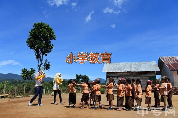 郑州幼儿师范高等专科学校小学语文教育