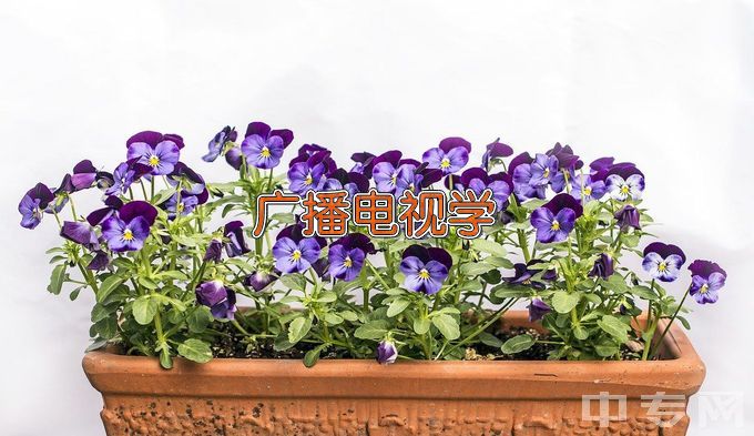 曲阜师范大学广播电视学