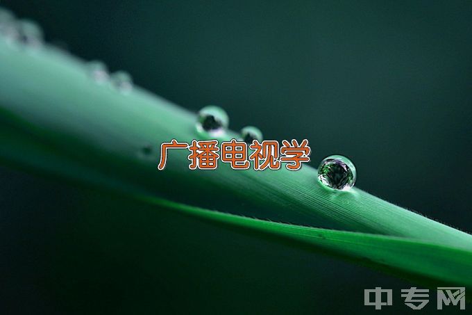 湖北师范大学广播电视学