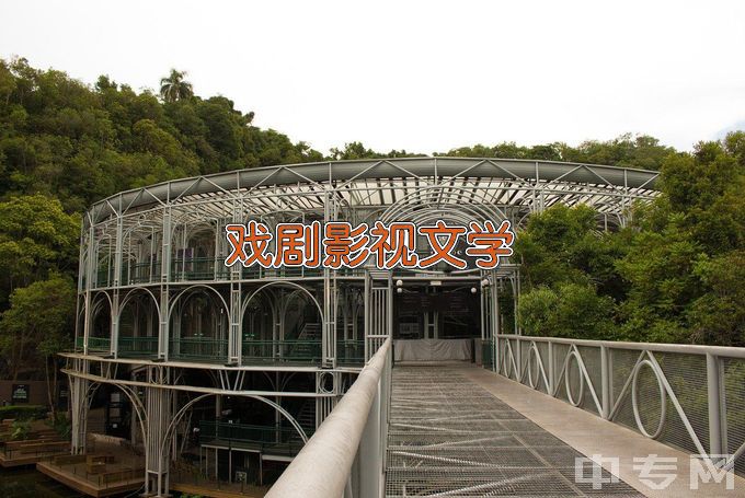 天水师范学院戏剧影视文学