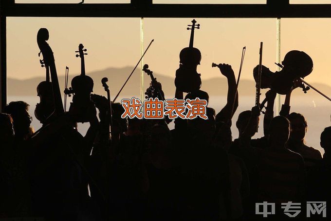 山东省文化艺术学校戏曲表演