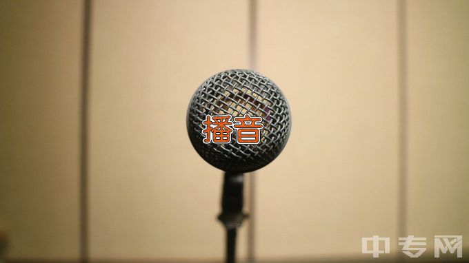 成都锦城学院播音与主持艺术