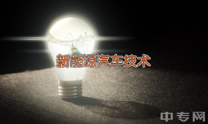 潇湘职业学院新能源汽车技术