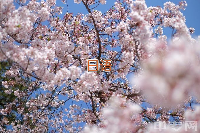 四川师范大学日语