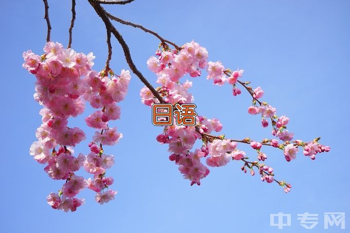 河南科技大学日语