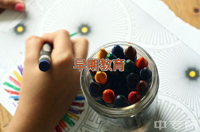 阜阳幼儿师范高等专科学校早期教育