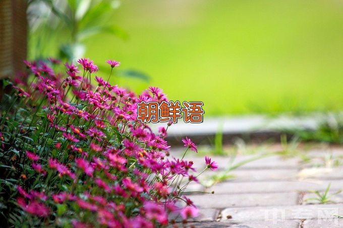 青岛科技大学朝鲜语