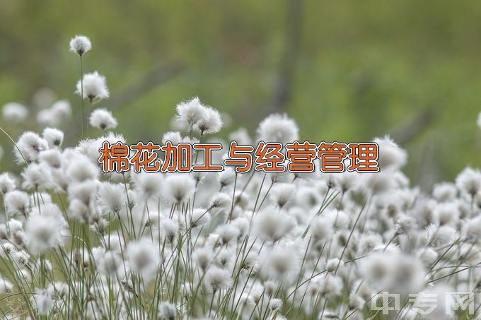 新疆石河子职业技术学院棉花加工与经营管理