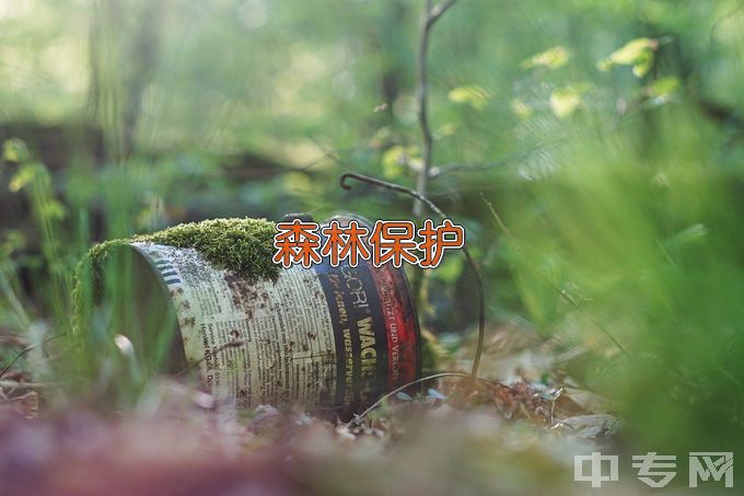 黑龙江广播电视中等专业学校森林资源保护与管理