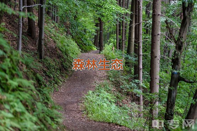 甘肃林业职业技术学院森林生态旅游与康养