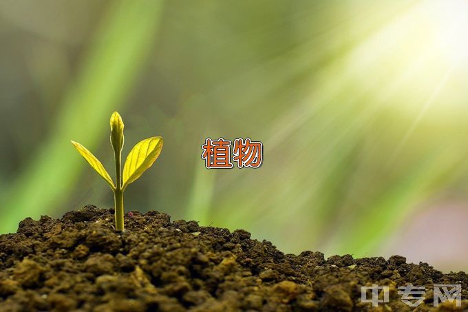 遵义师范学院植物科学与技术