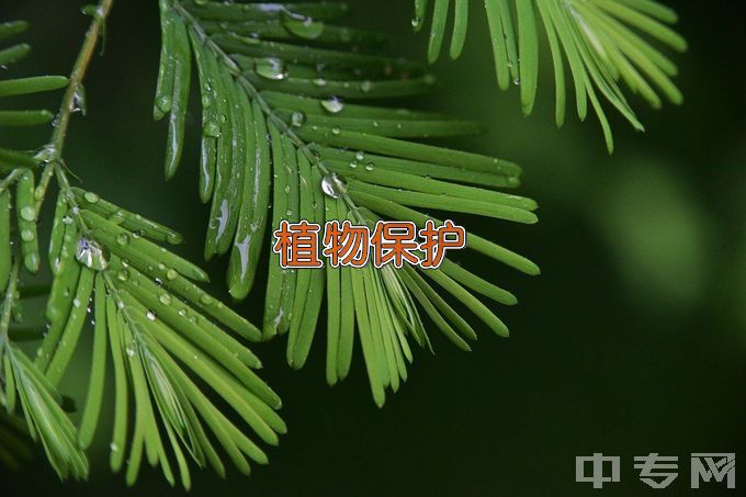 信阳农林学院植物保护与检疫技术