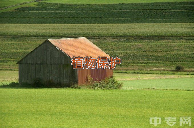 安徽省蒙城建筑工业中等专业学校植物保护