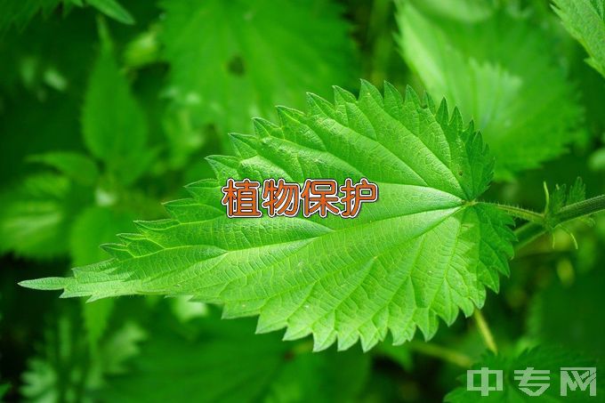 福建农林大学植物保护