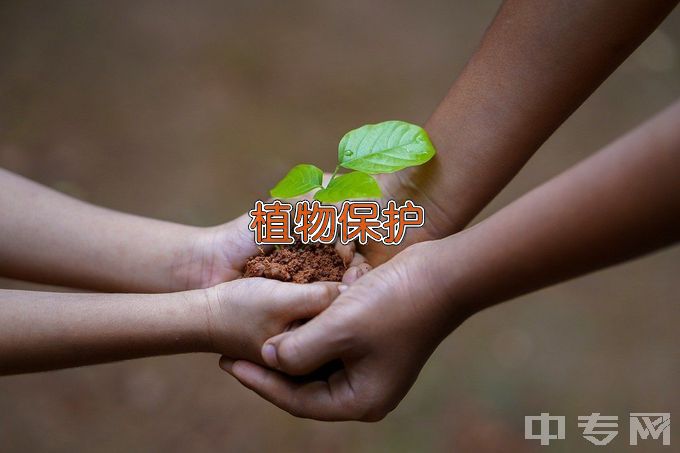 徐州生物工程职业技术学院植物保护与检疫技术