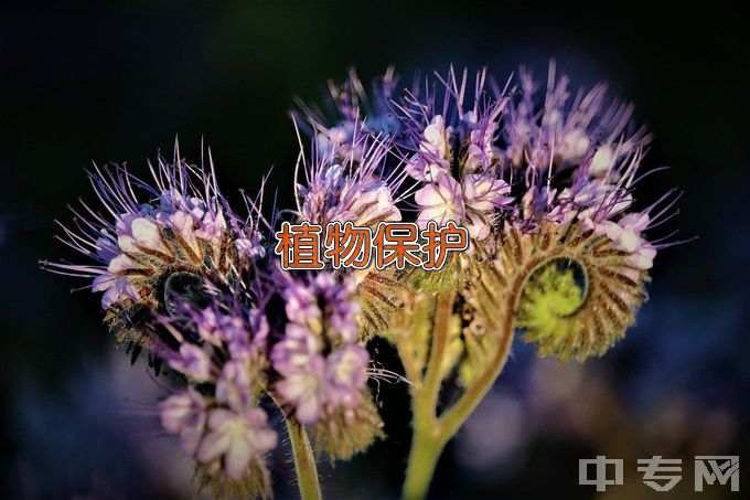 山东农业工程学院植物保护