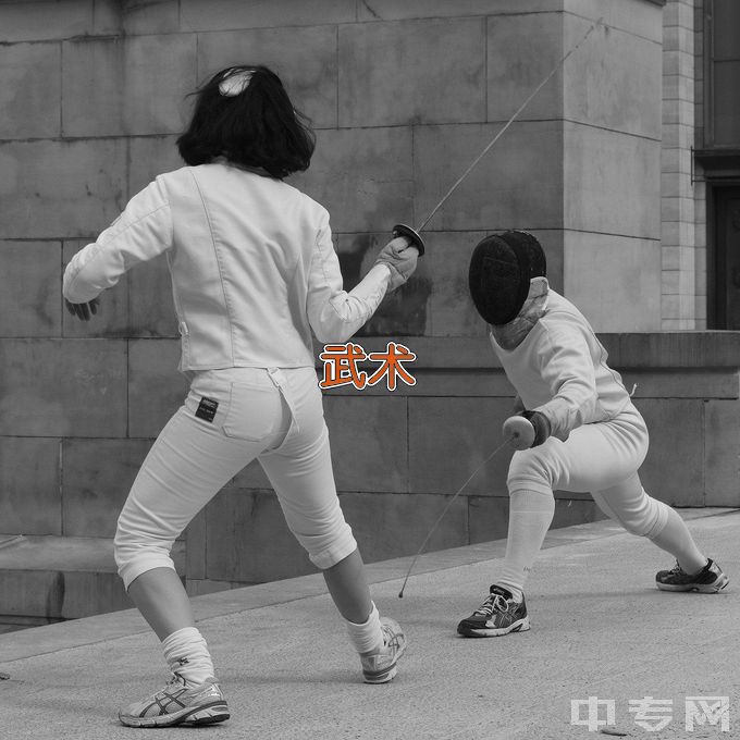 沧州职业技术学院民族传统体育（武术方向）