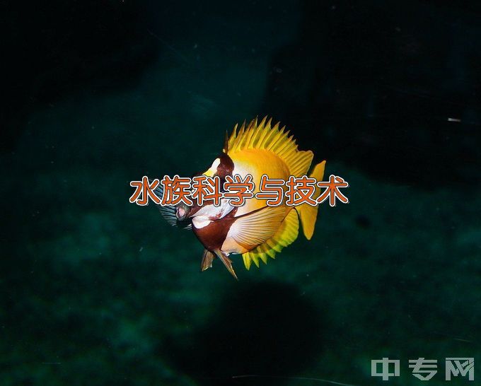 江苏海洋大学水族科学与技术