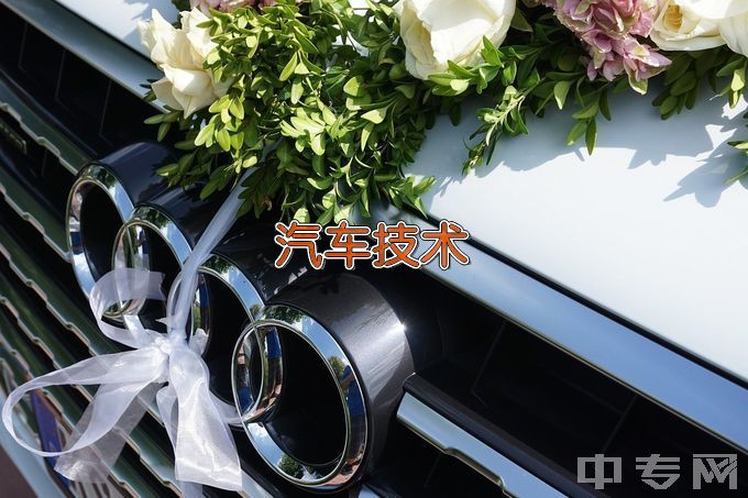 安庆职业技术学院汽车技术服务与营销