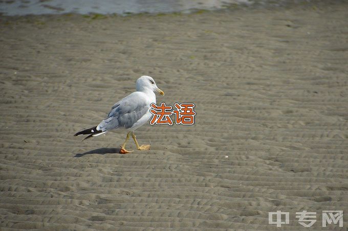 牡丹江师范学院法语