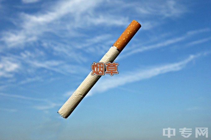 海南省农林科技学校烟草生产与加工