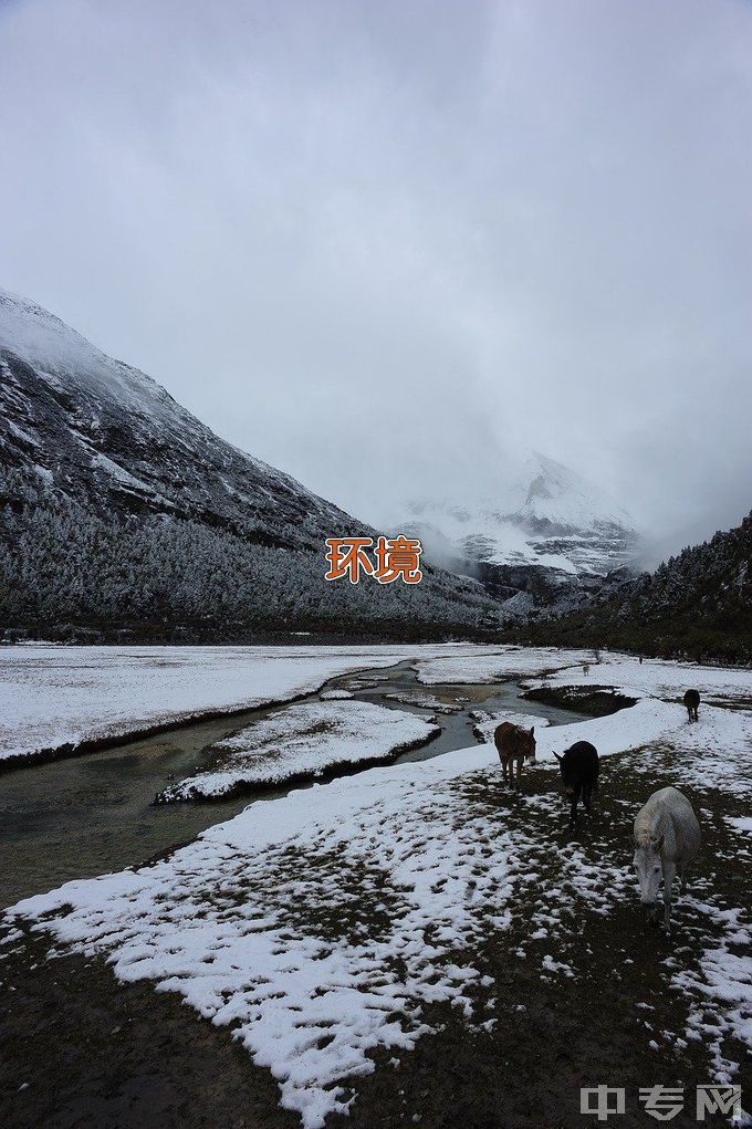 景德镇陶瓷大学环境工程