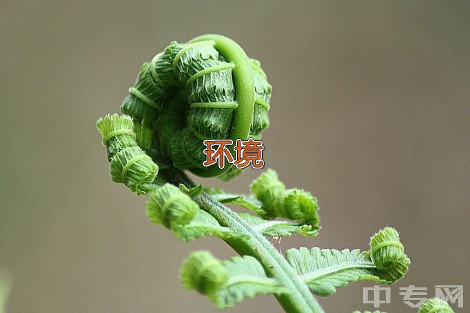 唐山学院环境工程