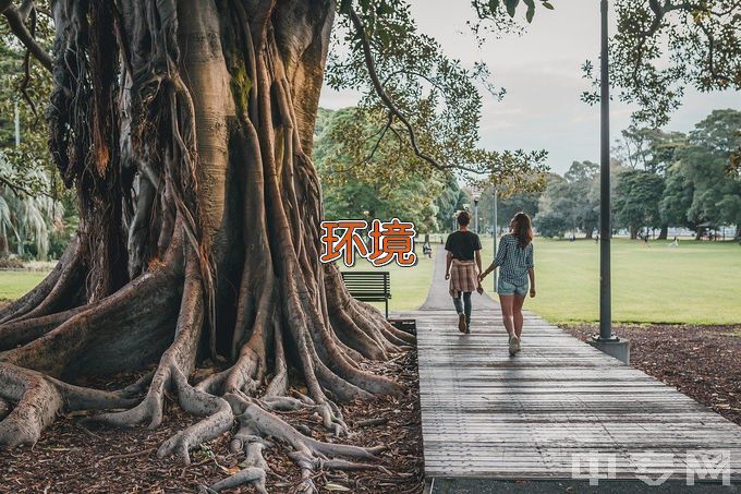 中国人民大学环境工程