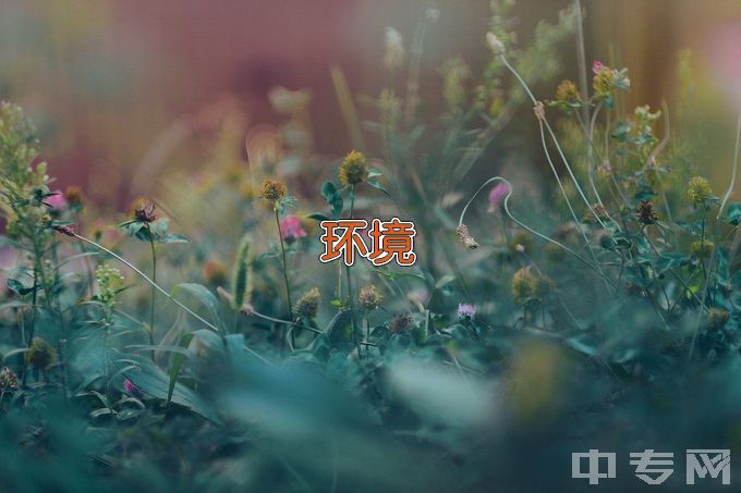 闽南师范大学环境工程