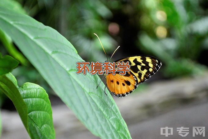 内蒙古师范大学环境科学