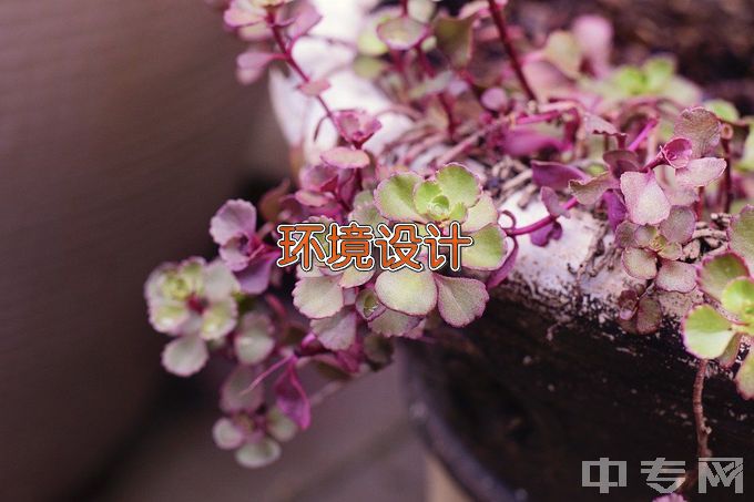 长江师范学院环境设计