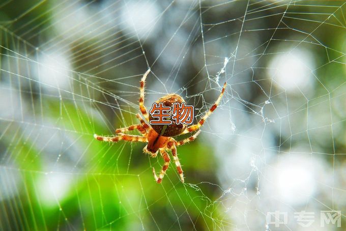 南通大学生物医学工程