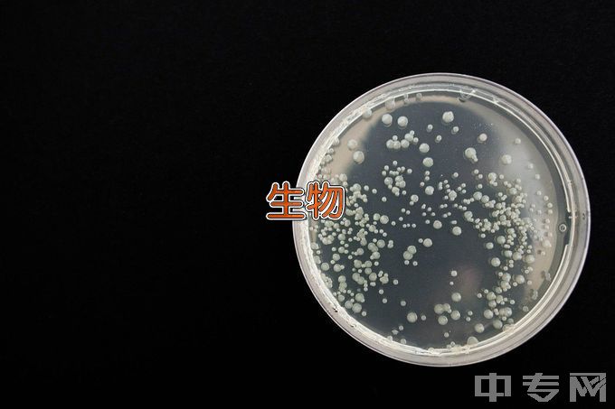 广东轻工职业技术学院生物技术及应用