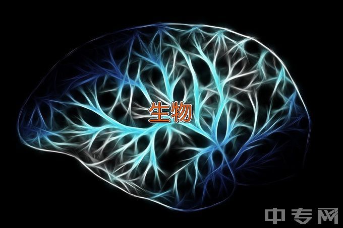 四川大学生物科学类