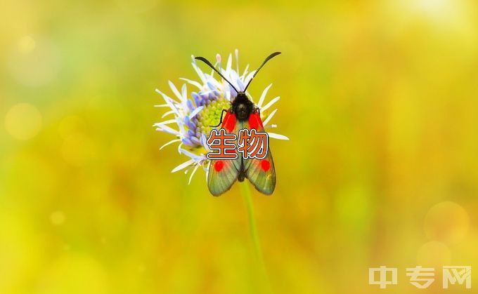 贵州大学生物科学类