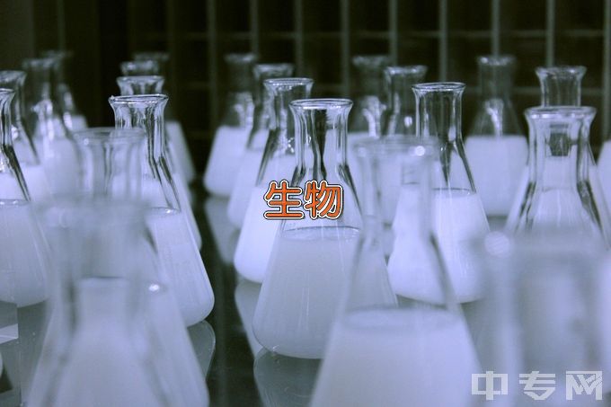 华中科技大学生物信息学