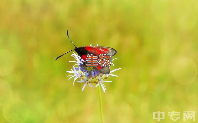 广东轻工职业技术学院生物技术及应用