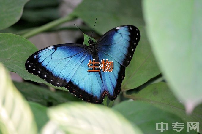 扬州市职业大学生物技术及应用