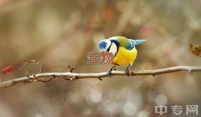 沈阳工业大学生物医学工程