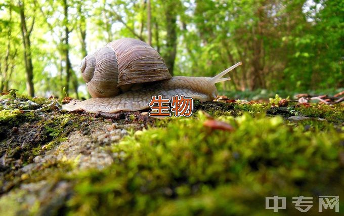 陕西师范大学生物科学类