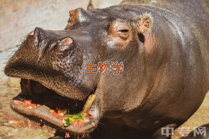 安徽工业大学化学生物学