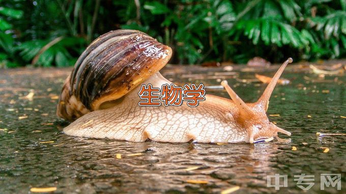 贵州医科大学化学生物学