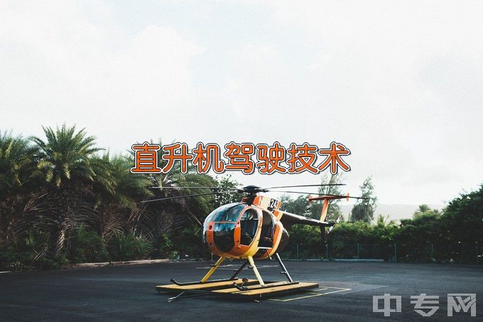浙江育英职业技术学院直升机驾驶技术