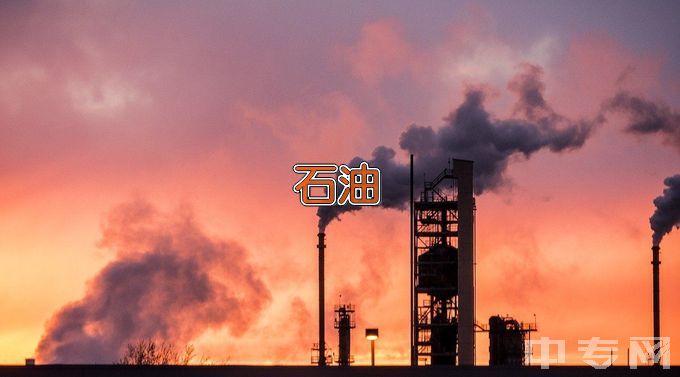 湖南化工职业技术学院石油化工技术