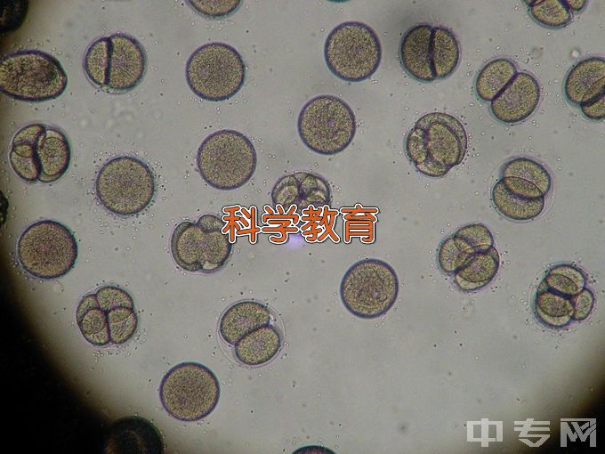 浙江师范大学科学教育