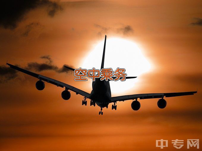 江西枫林涉外经贸职业学院空中乘务