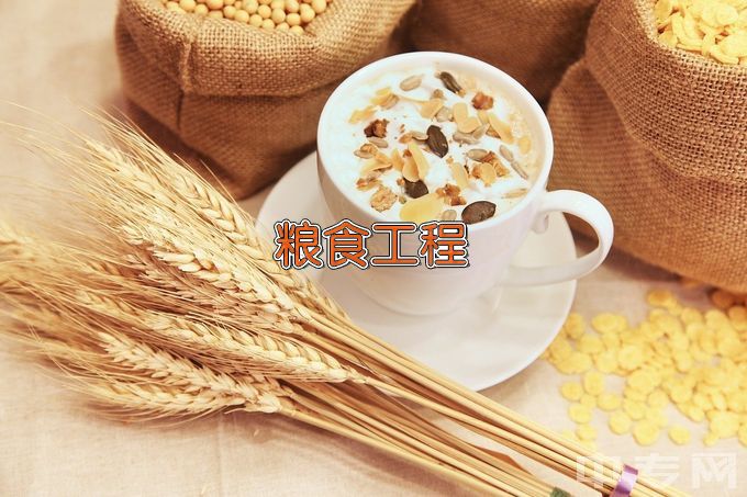 河南工业贸易职业学院粮食工程技术与管理