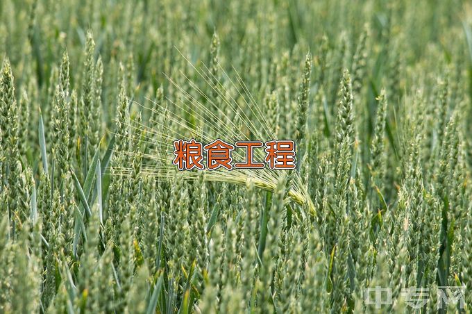 湖南省经济贸易高级技工学校粮食工程