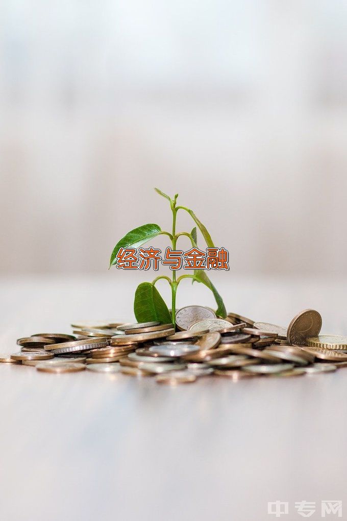 闽南师范大学经济与金融