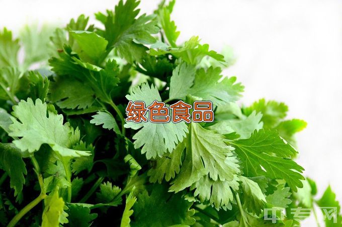滁州职业技术学院绿色食品生产与经营
